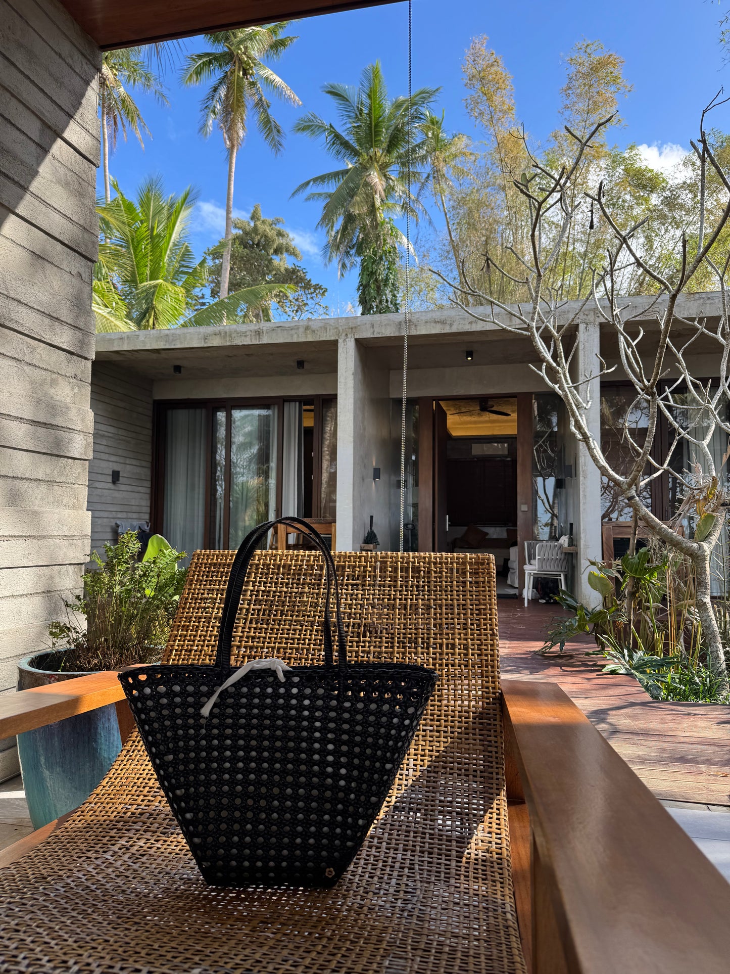 Val in black mushroom