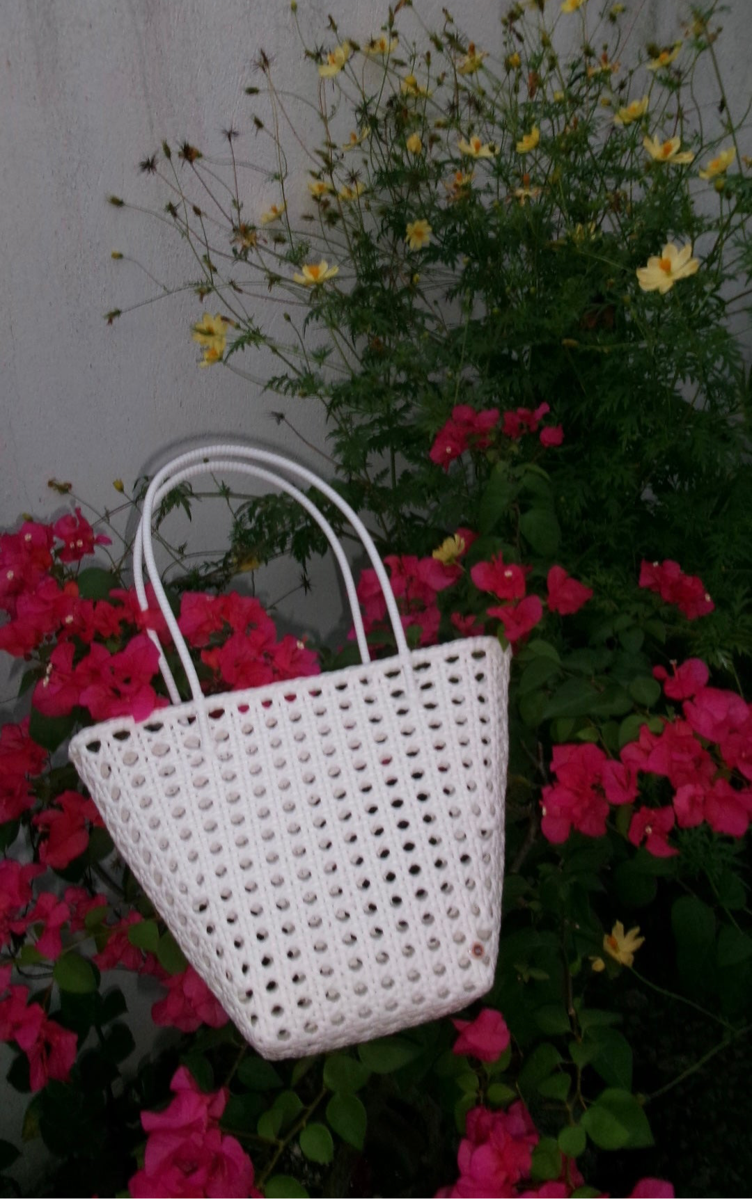 Fari in white